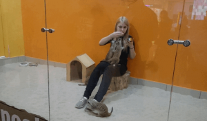Юные жители района Чертаново Центральное в контактном зоопарке могут увидеть сурикатов