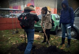 Более 1,2 тысячи кустарников высадят в районе Чертаново Центральное в рамках озеленения