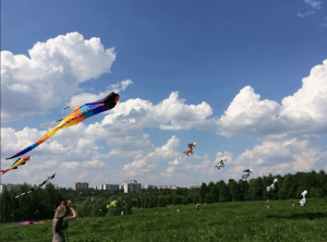 В ЮАО прошел фестиваль воздушных змеев