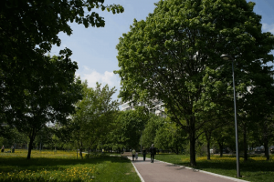 12 июня жителей ЮАО приглашают в парк «Садовники»