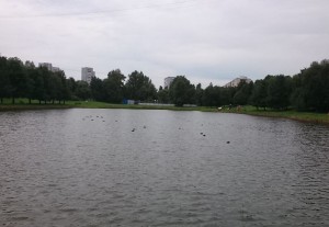 Чертановский пруд