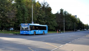 Информация о муниципальных автобусах появилась на городском портале