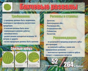 инфографика_бахчевые