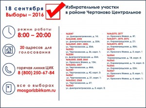 инфографика выборы_ЧЦ