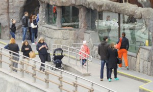Посетители московского зоопарка узнают, где любила гулять Ахматова с дочкой