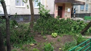 Обвалившиеся деревья в районе Чертановской улицы были убраны