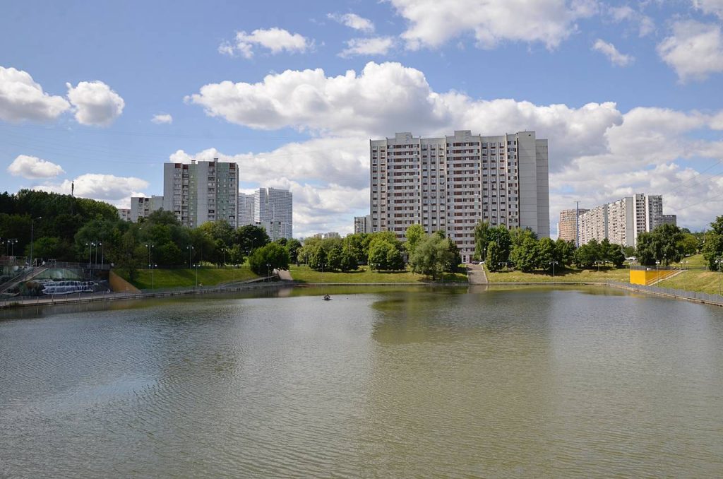 Празднование Дня крещения Руси проведут представители библиотеки №151. Фото: Анна Быкова, «Вечерняя Москва»