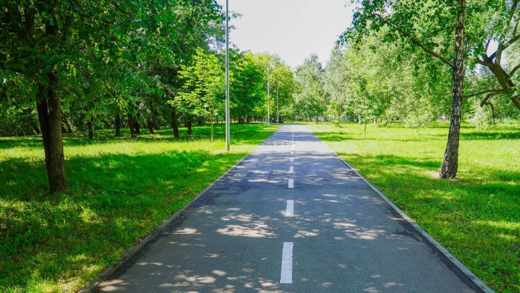 Некоторые маршруты пролегают через территории, на которых расположены специализированные площадки для выгула и дрессировки животных, созданные по новому стандарту в рамках проекта «Питомцы в Москве». Фото: Ксения Догонашева, «Вечерняя Москва»