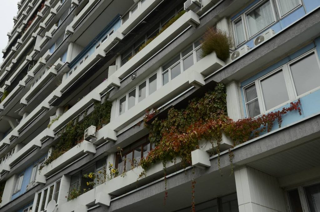 Обход территории проведет глава управы Чертаново Центральное. Фото: Анна Быкова, «Вечерняя Москва»