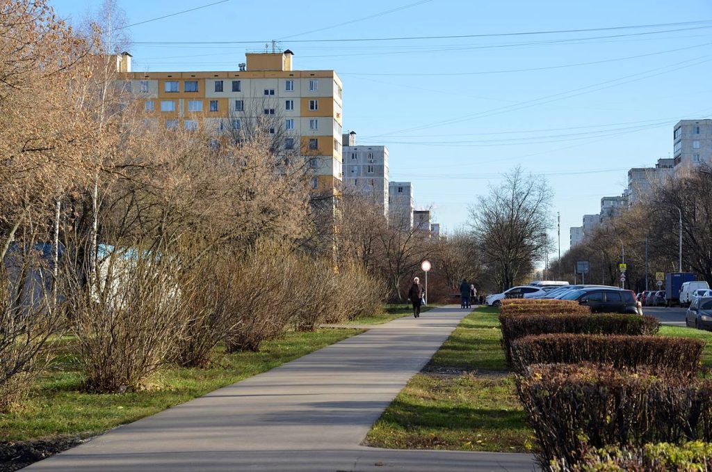 Обход территории проведут в Чертанове Центральном. Фото: Анна Быкова, «Вечерняя Москва»