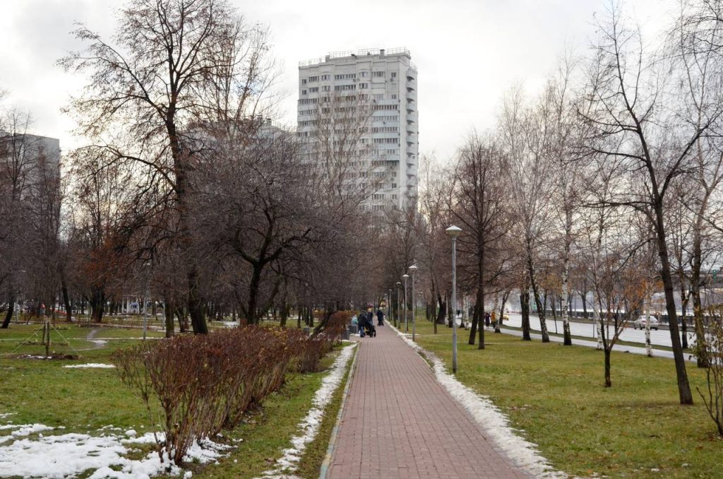 Еженедельный обход территории провели в Чертанове Центральном. Фото: Анна Быкова, «Вечерняя Москва»
