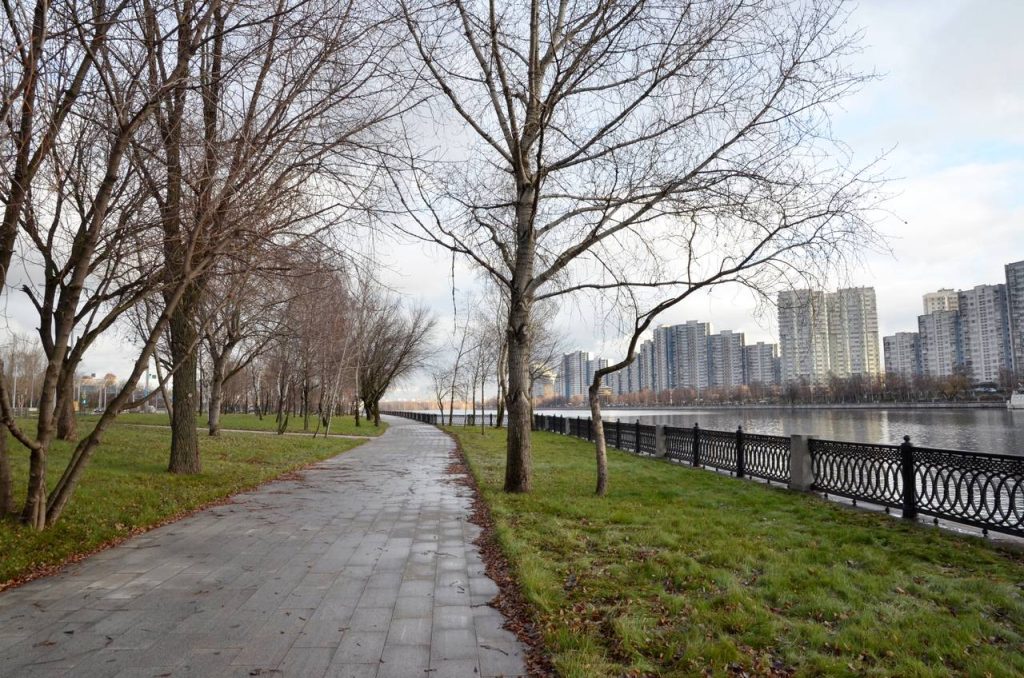 «Кубок чемпионов»: турнир по хоккею проведут сотрудники управы Чертанова Центрального.