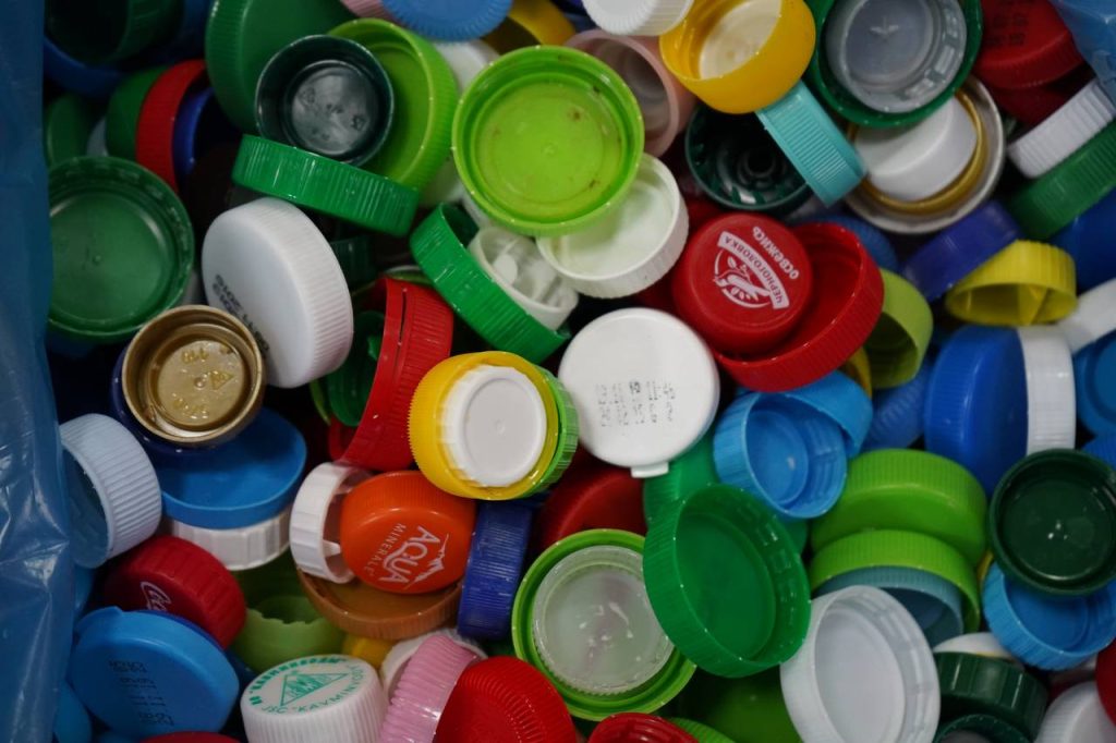 День вторичной переработки проведут в «Битцевском лесу». Фото: Анна Быкова, «Вечерняя Москва»