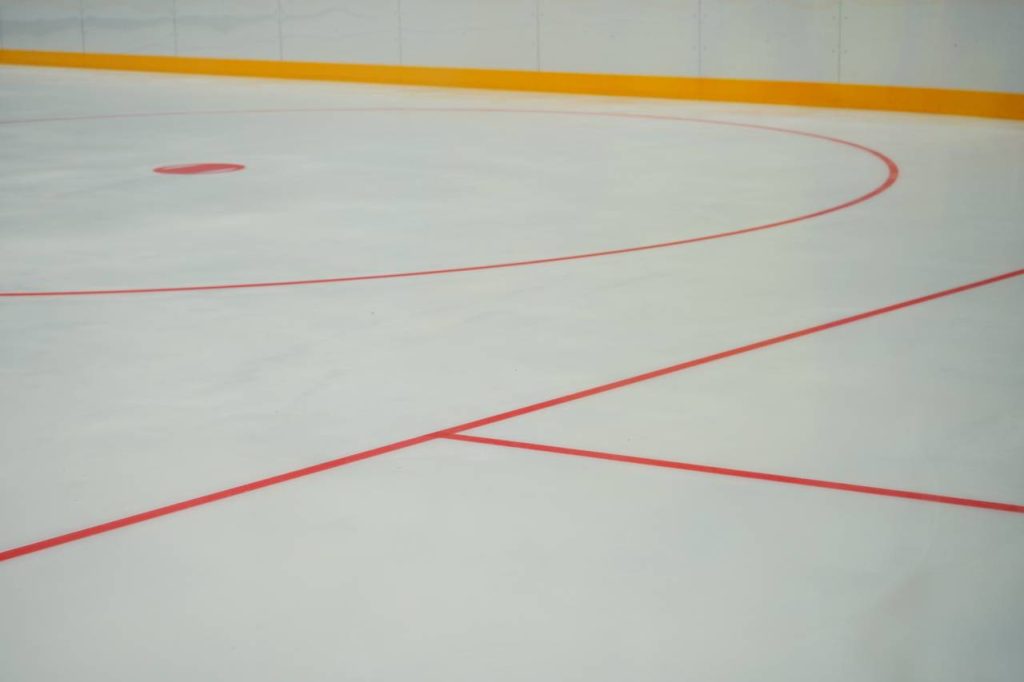 Юные хоккеисты из Чертанова Центрального стали победителями турнира в День защитника Отечества. Фото: Анна Быкова, «Вечерняя Москва»