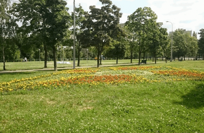 Цветник в Парке 30-летия Победы
