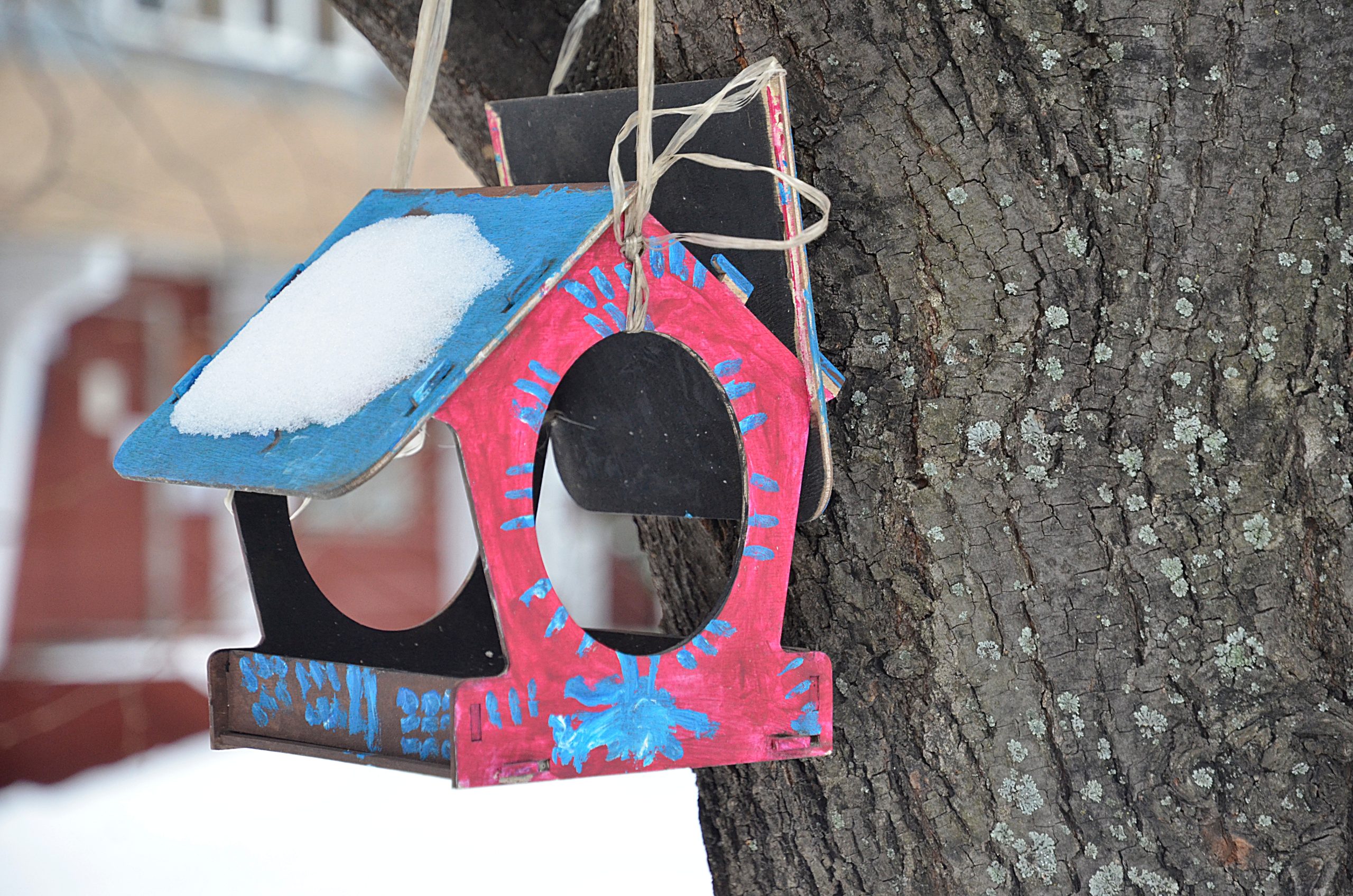 Ученики школы №1582 отметили экологический праздник «День зимующих птиц». Фото: Анна Быкова, «Вечерняя Москва»