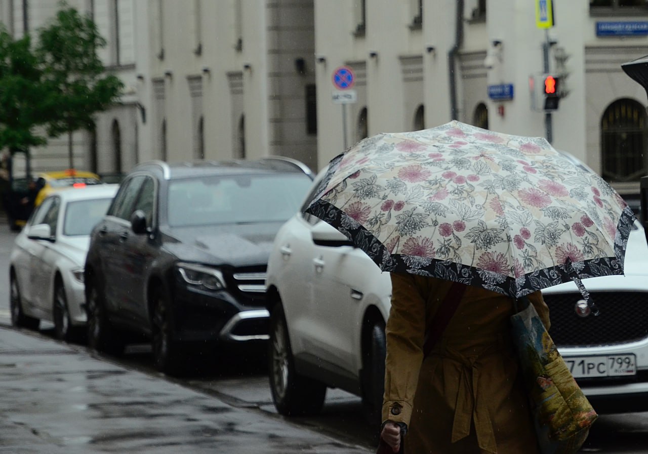 Ливни с грозой ожидаются в Москве в течение дня. Фото: Анна Быкова, «Вечерняя Москва»