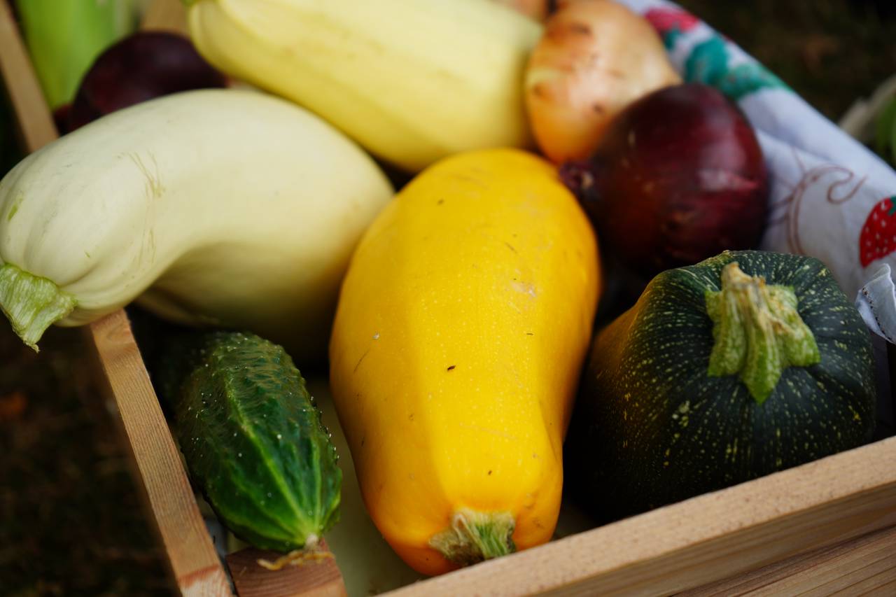 Лекция о здоровом питании пройдет в Чертанове Центральном.  Фото: Анна Быкова, «Вечерняя Москва»