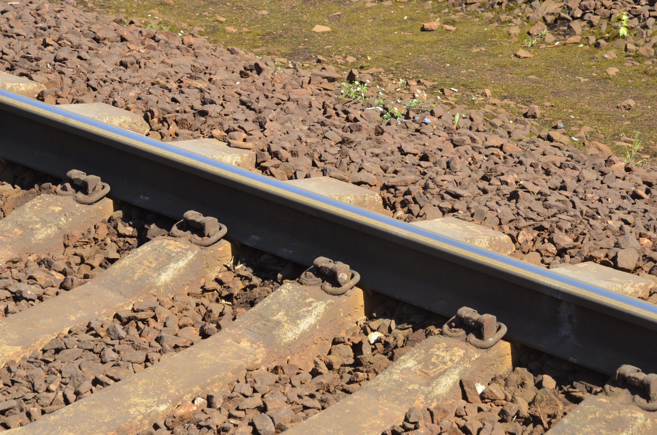 Лекция о железной дороге пройдет в Чертанове Центральном в рамках проекта «Лето в Москве». Фото: Анна Быкова, «Вечерняя Москва»