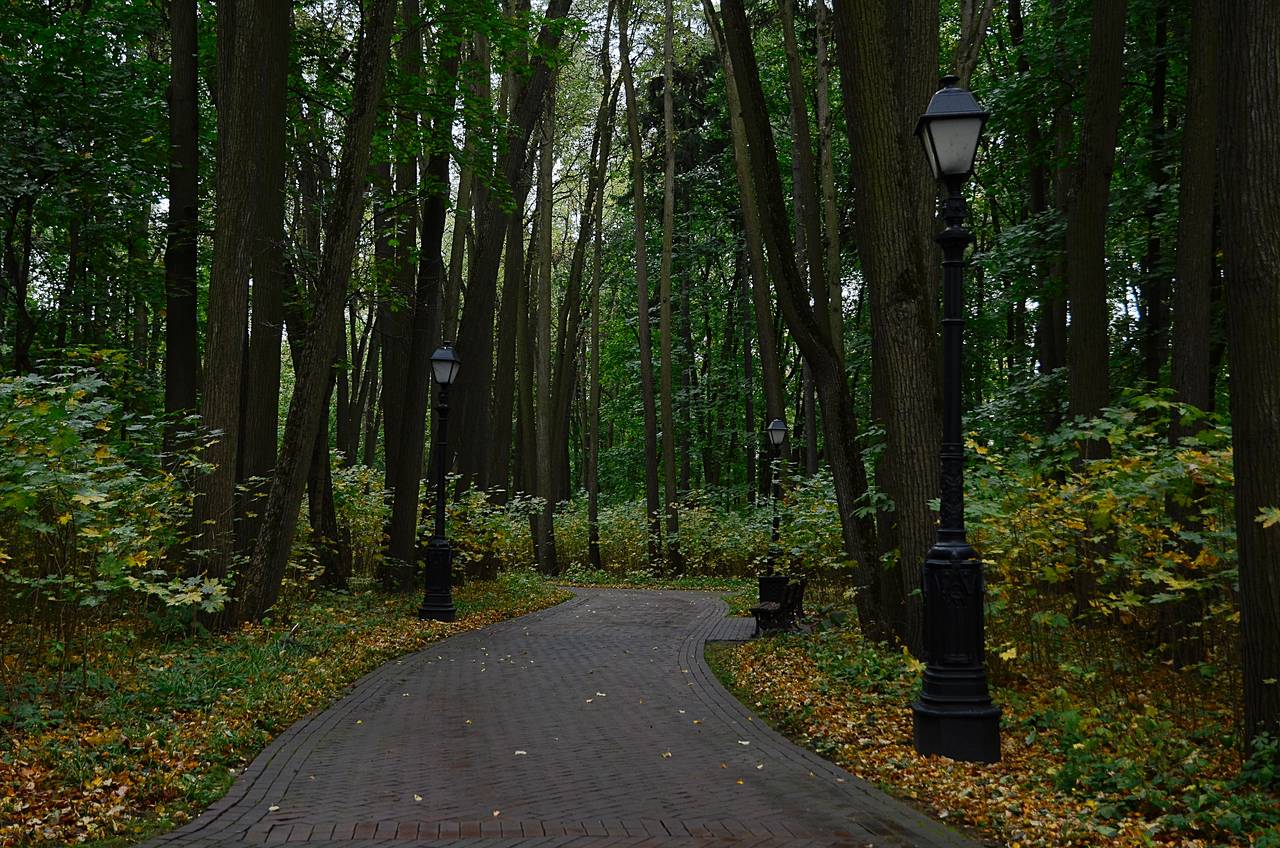 Праздничная программа пройдет в экоцентре «Лесная сказка». Фото: Анна Быкова, «Вечерняя Москва»