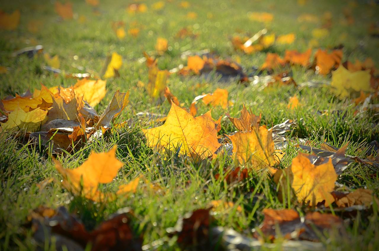 Кадеты из 8 «К» класса приняли участие в туристском слете. Фото: Анна Быкова. «Вечерняя Москва»