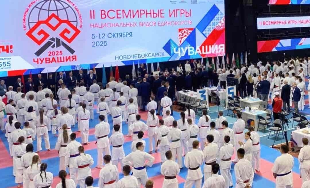 Ученица школы №556 выступила на Чемпионате и Первенстве Мира по всестилевому каратэ. Фото: официальная страница школы №556 в социальных сетях