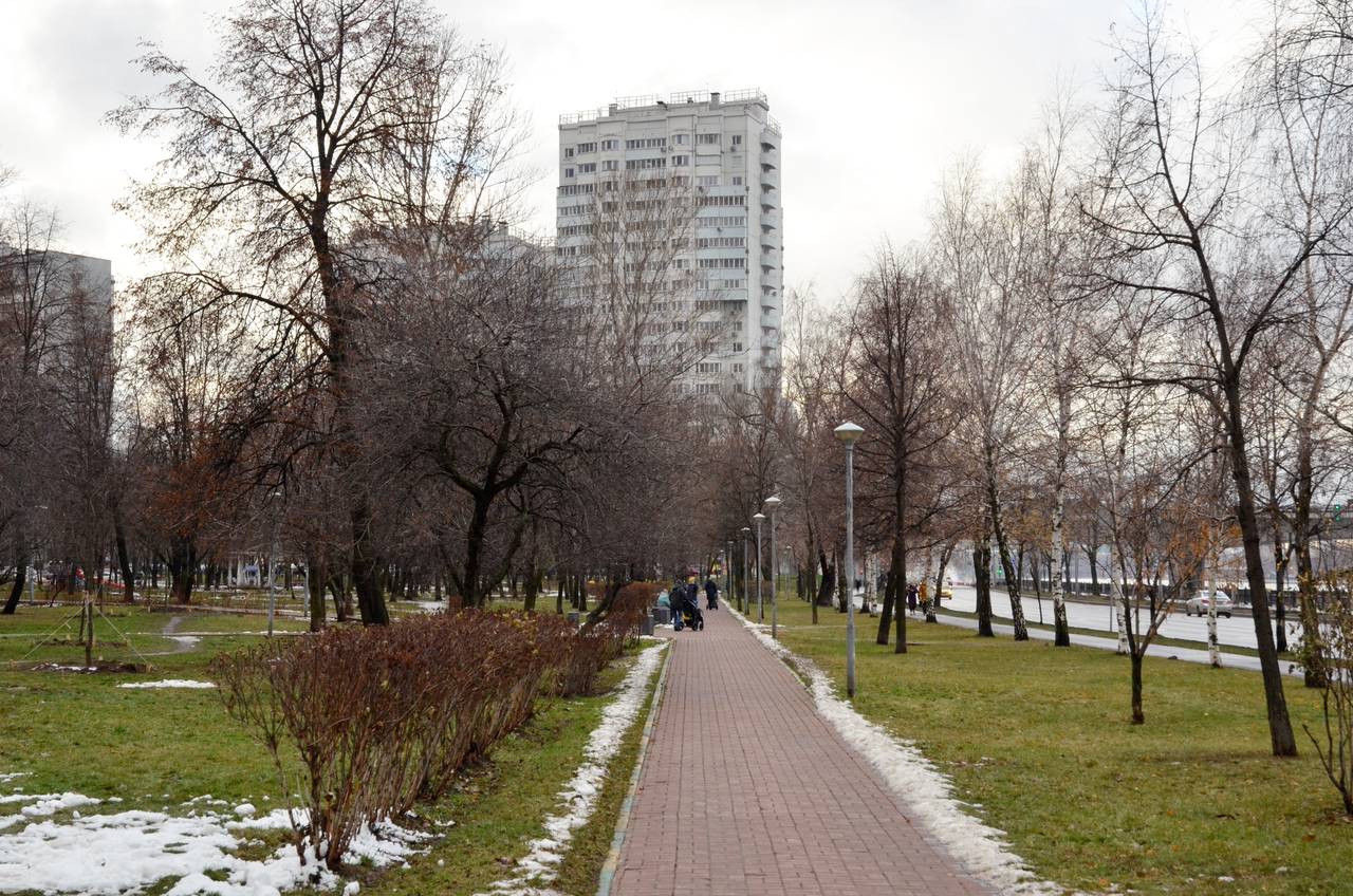 Еженедельный обход территории провели в Чертанове Центральном. Фото: Анна Быкова, «Вечерняя Москва»