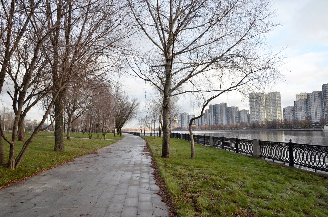 «Кубок чемпионов»: турнир по хоккею проведут сотрудники управы Чертанова Центрального. 