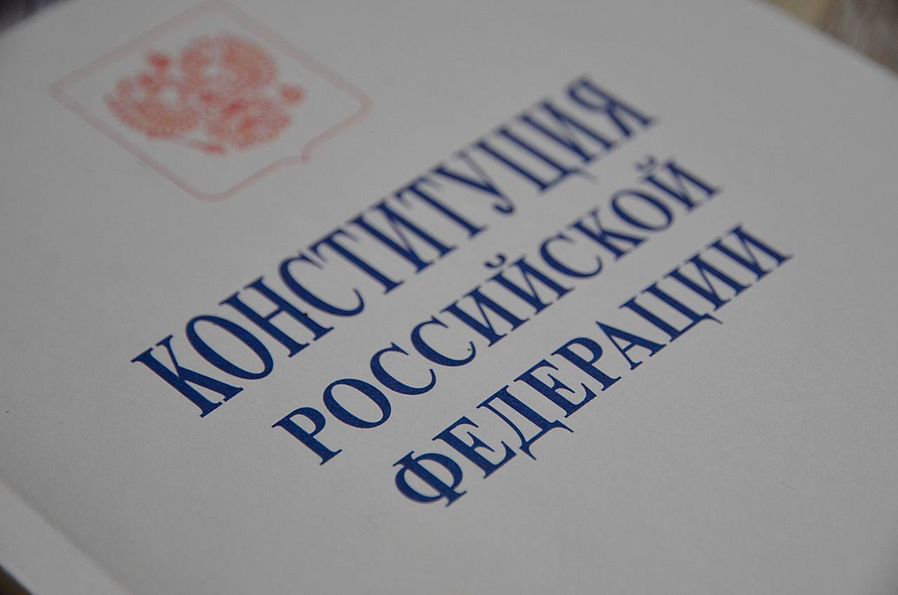 Онлайн-беседа ко Дню Конституции в библиотеке №151. Фото: Анна Быкова, «Вечерняя Москва»