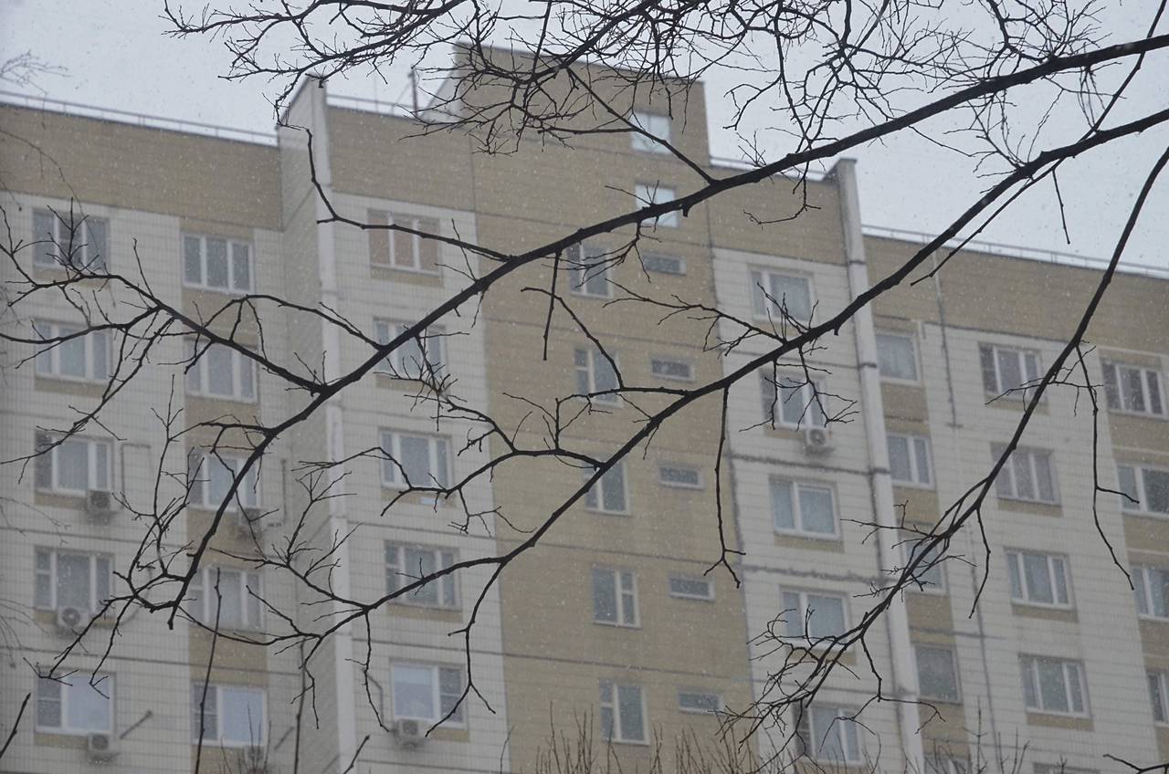 Глава управы Чертанова Центрального проведет плановый обход территории. Фото: Анна Быкова, «Вечерняя Москва»